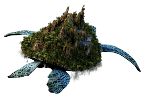 Turtle_01